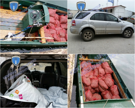 6 άτομα συνελήφθησαν στην Αλεξανδρούπολη για κατοχή και μεταφορά ακατάλληλων οστράκων