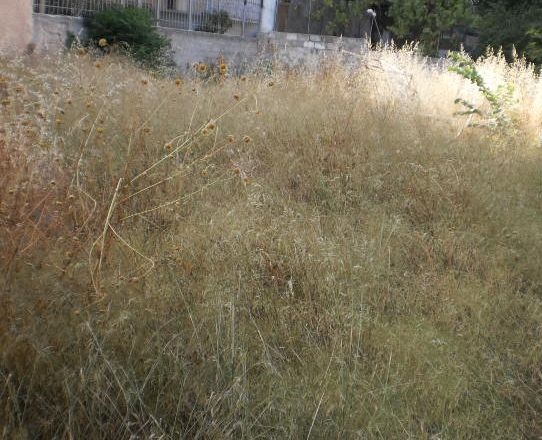 Σαμοθράκη: Ο Δήμος καλεί τους ιδιοκτήτες να καθαρίσουν τα οικόπεδα τους για τον κίνδυνο πυρκαγιάς