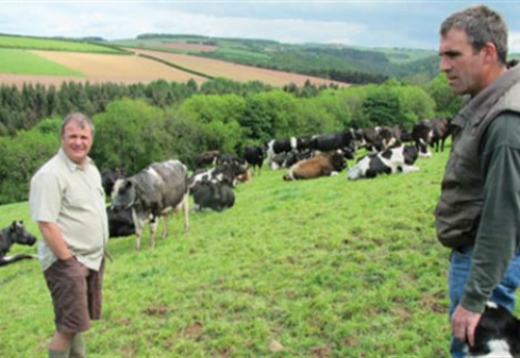 Προσλήψεις κτηνιάτρων στο Κέντρο Νοσημάτων Έβρου