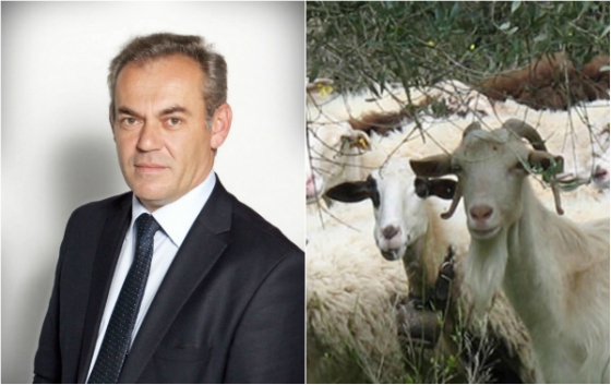 Δουνάκης: Δεν θα επιτρέψουμε να καταστραφεί και πάλι η κτηνοτροφία - Απαιτείται εμβολιασμός σε όλη την Ελλάδα