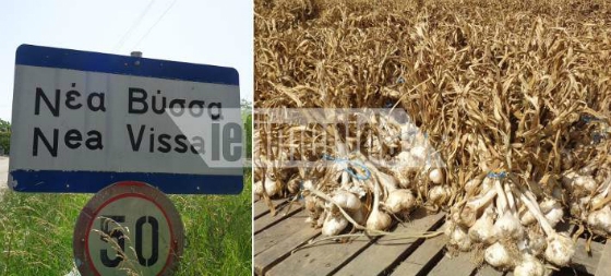 Οδοιπορικό του iefimerida στο χωριό όπου δεν πατάει ο… βρυκόλακας, τη Νέα Βύσσα