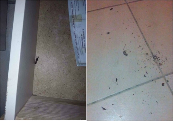 Εικόνες... ντροπής κατά τη φιλοξενία ομάδων στην Αλεξανδρούπολη