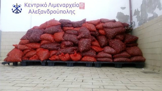 Κατασχέθηκαν 98 σάκοι με ακατάλληλα για κατανάλωση όστρακα, στην Αλεξανδρούπολη