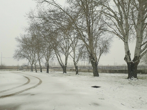 Ο χιονιάς "χτυπά" τον Έβρο - Στα λευκά ντύθηκαν όλες οι περιοχές (φωτο +video)