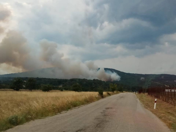 Εικόνα από την ώρα που η φωτιά βρισκόταν σε εξέλιξη 