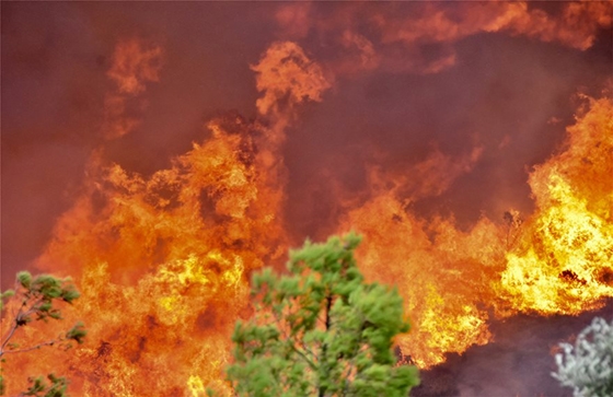 Πως θα εκκενωθούν τα Δίκελλα και η Μάκρη Αλεξανδρούπολης σε περίπτωση πυρκαγιάς;