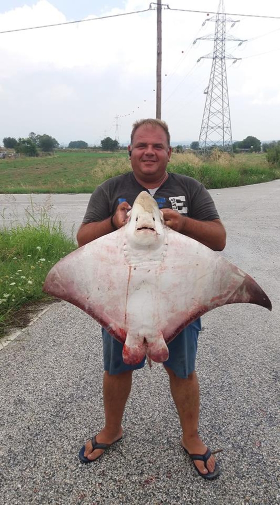 Το σαλάχι μήκους 1 μέτρου στα χέρια του ψαρά Αθανασίου Καμηλάρη