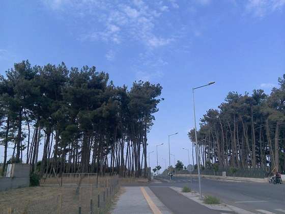 «Πάρκο να γίνει»: συγκέντρωση πολιτών & υπογραφών στην Αλεξανδρούπολη