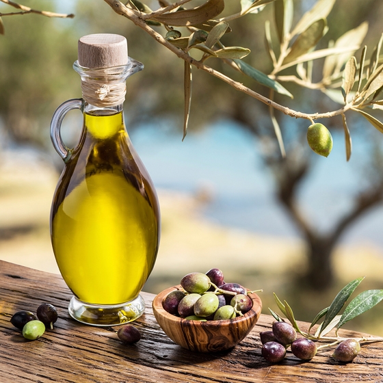40% ζημιά στους ελαιώνες της Μάκρης Αλεξανδρούπολης – δάκρυα κάτω από τις ελιές 
