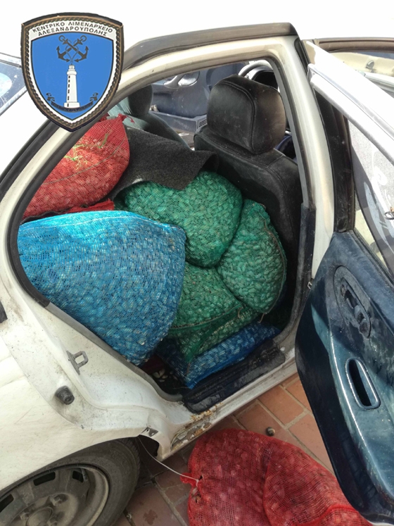 Αλεξανδρούπολη: Το αυτοκίνητο που είχε 1 τόνο ακατάλληλα όστρακα!