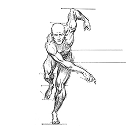 Τερζής Ελ. Άγγελος