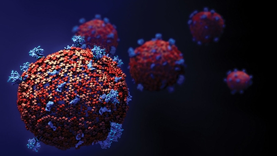 Τα κρούσματα του κορωνοιού για σήμερα, 29 Ιανουαρίου 2022 - Όλοι οι αριθμοί