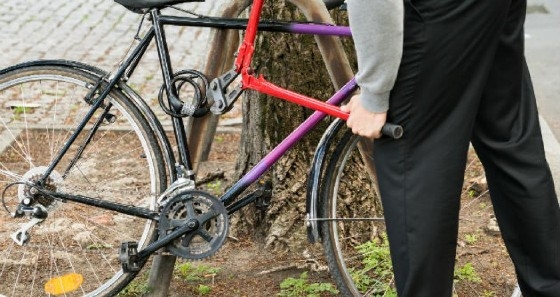 Εικόνα αρχείου