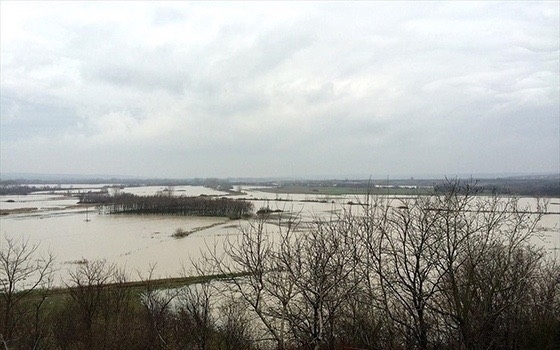 ΜΚΟ κάνει λόγο για 330 εγκλωβισμένους μετανάστες σε νησίδα του Έβρου