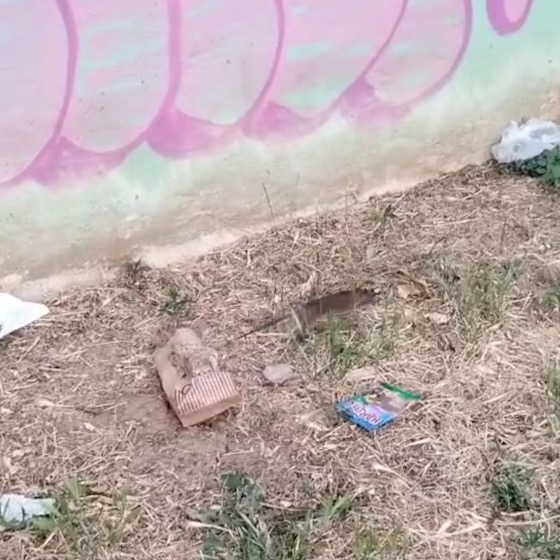 Την ανησυχία του μεταφέρει πολίτης τη πόλης καθώς η παιδική χαρά απειλέιται υγιειονομικά