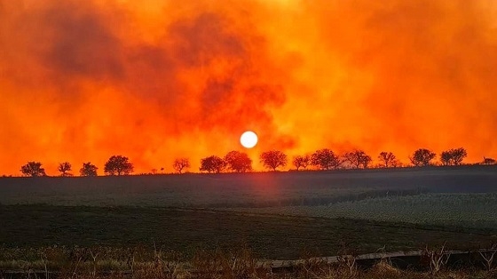 Έντονη ανησυχία για τις πυρκαγιές στη Βουλγαρία (φωτο: ΒΤΑ)