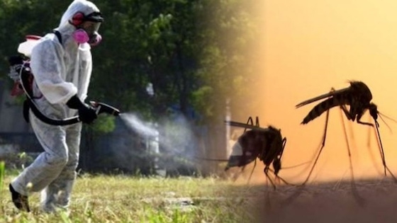 Έβρος: "Φέτος η μάχη της καταπολέμησης των κουνουπιών θα είναι δυσκολότερη" 