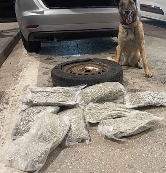 Η Laika «μύρισε» τα 4+ κιλά κάνναβης στο πορτ-μπαγκάζ!