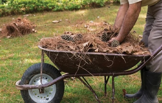 Στις 15 Ιουνίου λήγει η παράταση για τον καθαρισμό οικοπέδων.