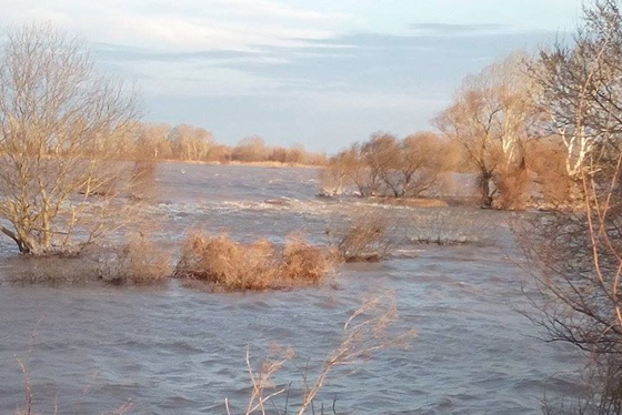 Υποβολή αιτήσεων μέχρι την Πέμπτη 05 Μαρτίου. 