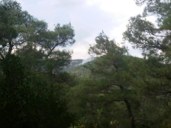 3 φωτιές χθες στον Έβρο - 8 κεραυνοί συνολικά φέτος