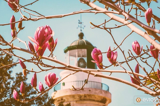 Η πόλη αποκτά το πρώτο της Ελληνικό όνομα, Νέαπολη, το οποίο όμως δεν θα το κρατήσει για πολύ γιατί οι τοπικές αρχές την ξαναβαφτίζουν ΑΛΕΞΑΝΔΡΟΥΠΟΛΗ.