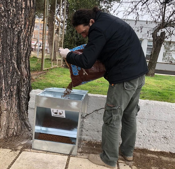 Αλεξανδρούπολη: Τοποθετήθηκαν ταΐστρες για τη σίτιση των αδέσποτων ζώων