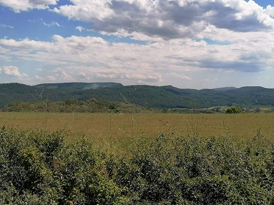 Aπαγόρευση κυκλοφορίας σε δασικές περιοχές του Έβρου λόγω καύσωνα