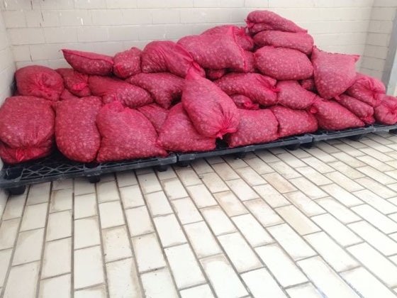 Αλεξανδρούπολη: Σύλληψη δύο ανδρών που μετέφεραν 41 σάκους με ακατάλληλα όστρακα