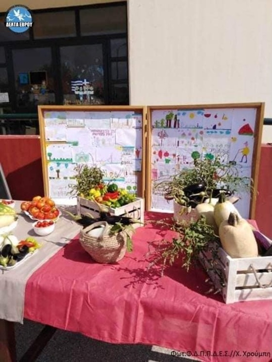 Οι μικροί μαθητές του 2ου Δημοτικού Σχολείου Φερών μάζεψαν τη... σοδειά τους!