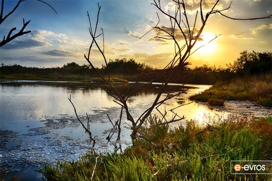 Η απαγορευτική περίοδος αλιείας αρχίζει στις 15 Απριλίου 2023.