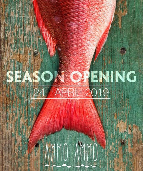 Opening Ammo Ammo 2019!