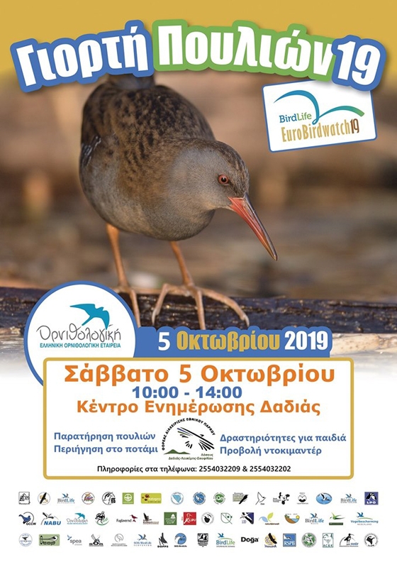 Ευρωπαϊκή Γιορτή πουλιών 2019 στο Εθνικό Πάρκο Δάσους Δαδιάς-Λευκίμης-Σουφλίου