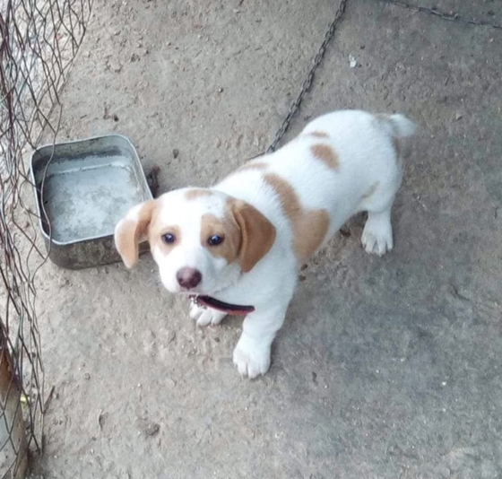  Δεν ενοχλούσε κανέναν, δεν είχε φωνή αλλά μια ψυχή γεμάτη αγάπη και δύο ματάκια γεμάτα καλοσύνη.