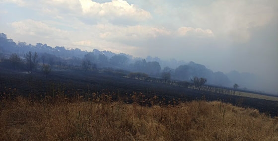2.000 στρέμματα δασικής έκτασης κάηκαν στην Αισύμη (video)