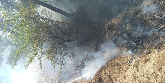 Ανησυχία στον Έβρο: 11 φωτιές σε δέκα ημέρες σε σημεία-περάσματα μεταναστών