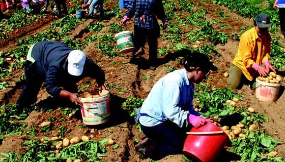 Έχει καταστήσει σχεδόν αδύνατη την έλευση εργατών από γειτονικές χώρες όπως η Βουλγαρία, η Αλβανία, η Ρουμανία.