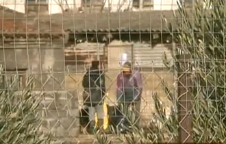 Φιλοξενεί 270 αδέσποτα ενώ η χωρητικότητά του είναι 100.