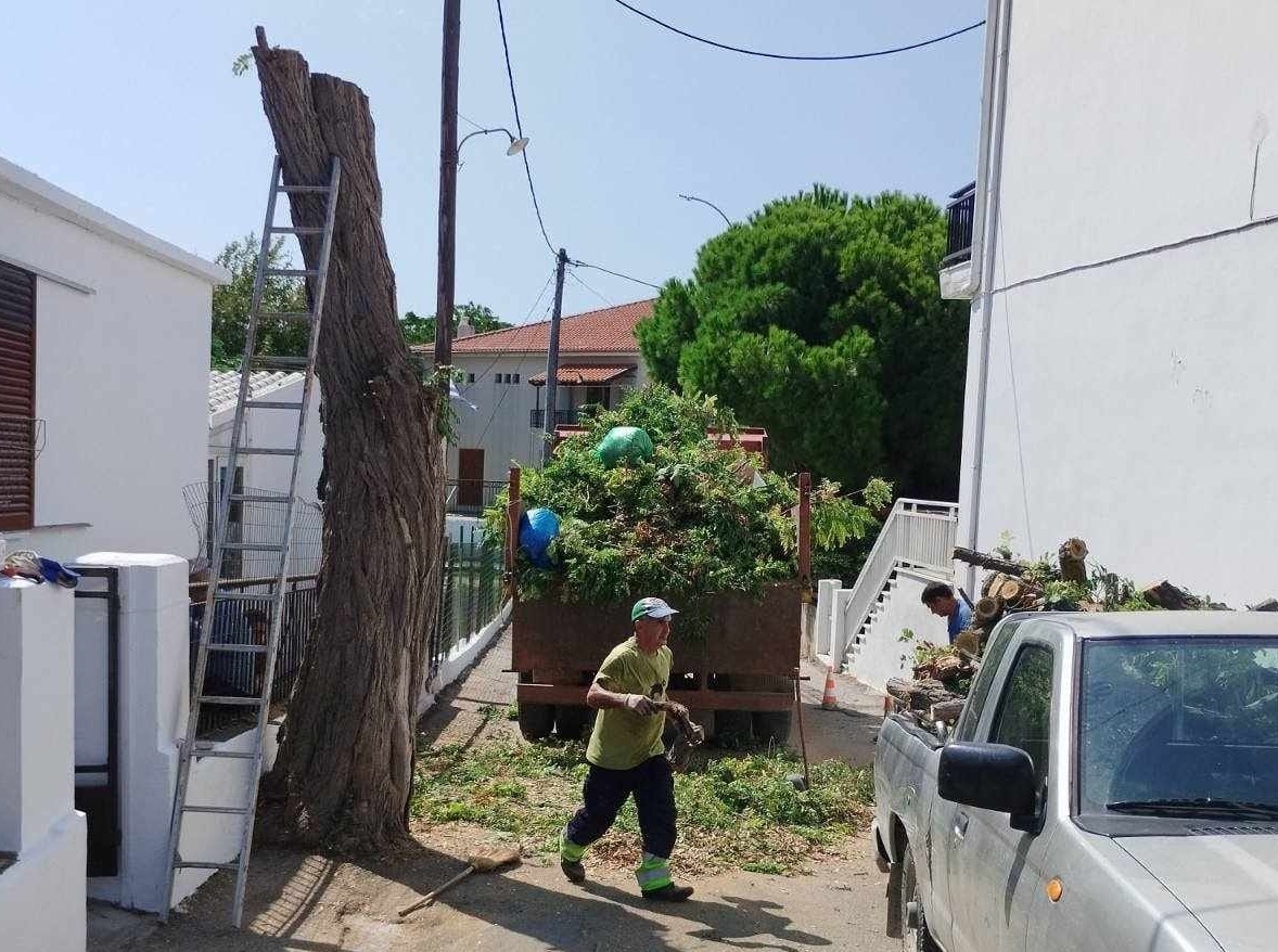 Παρεμβάσεις σε σχολικές μονάδες της Σαμοθράκης.