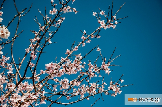 Η πρώτη μέρα της άνοιξης