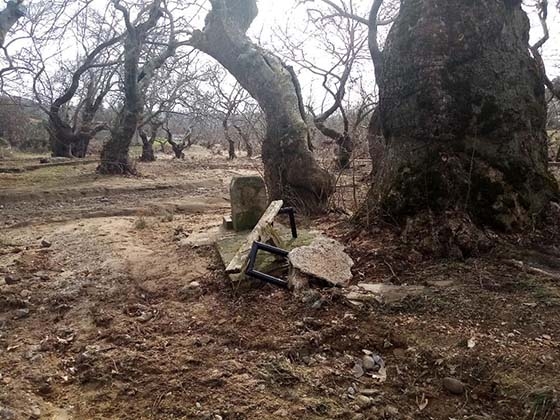 Ο πλατανότοπος των Λουτρών μετά τις πλημμύρες.
