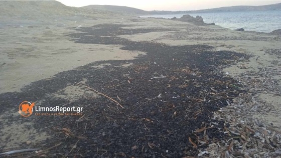 Στάχτες και αποκαΐδια από τα καμένα του Έβρου ταξίδεψαν μέχρι το νησί της Λήμνου.