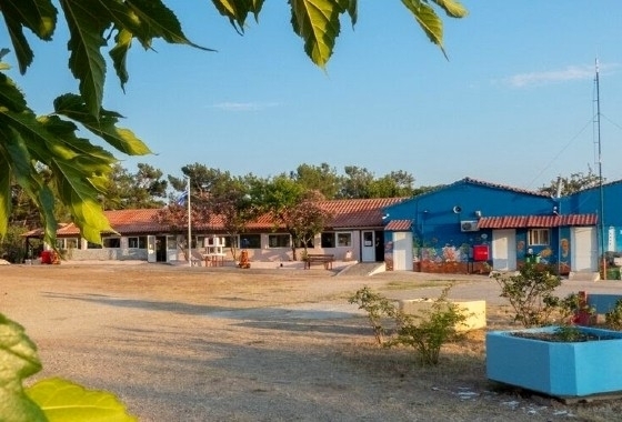 Ανοίγουν οι αιτήσεις για την κατασκήνωση.