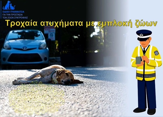Χρήσιμες πληροφορίες για την περίπτωση τροχαίου ατυχήματος με ζώο.