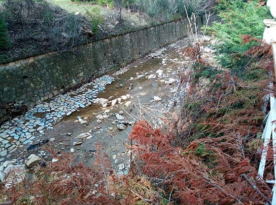 Φωτογραφία που μαρτυρά την κατάσταση στο συγκεκριμένο ρέμα.