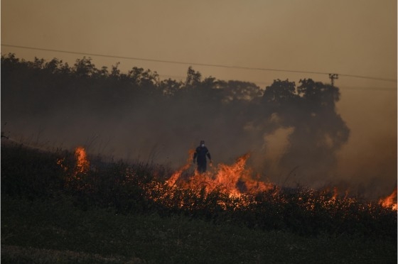 H κατάσταση στην Δαδιά παραμένει κρίσιμη!