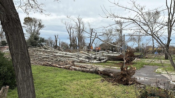 Εικόνες απόλυτης καταστροφής σε πολλά σημεία της Αλεξανδρούπολης.