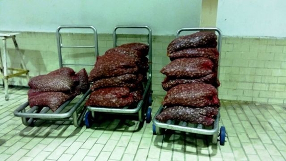 Κατασχέθηκαν 32 σάκοι με ακατάλληλα για κατανάλωση όστρακα - Αναζητείται ο χειριστής του σκάφους