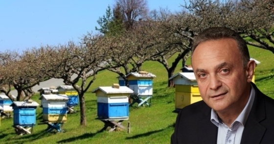 Το έργο εντάσσεται στα Πρόγραμμα Μελισσοκομίας του ΣΣ ΚΑΠ 2023 – 2027