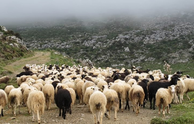 Πώς διαμορφώνεται η σημερινή κατάσταση.